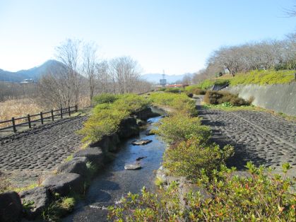 せせらぎ水路