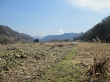 荒野