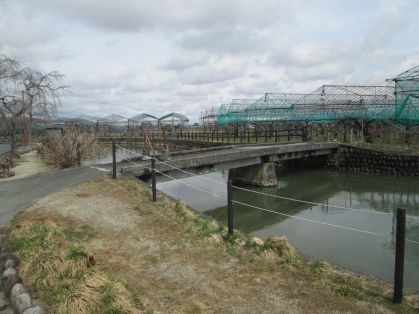 橋