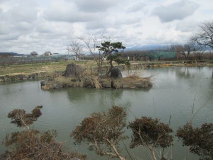 やすらぎの水辺エリア