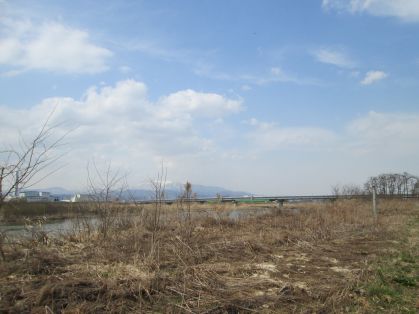 荒野