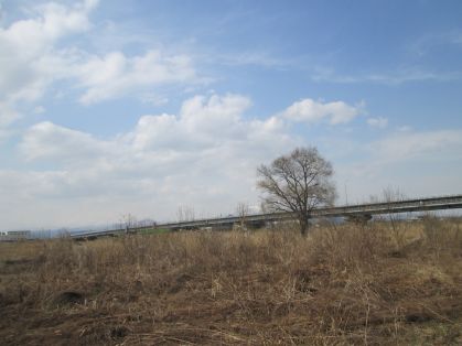 村山橋