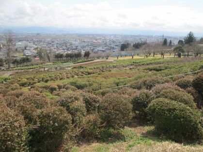 寒河江公園