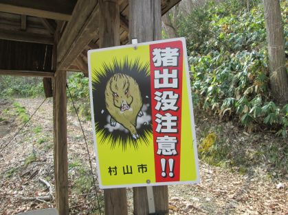 猪出没注意