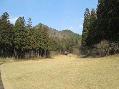 芝生