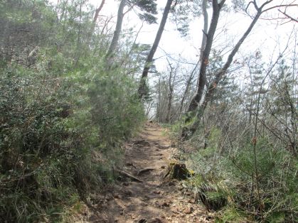 登山道
