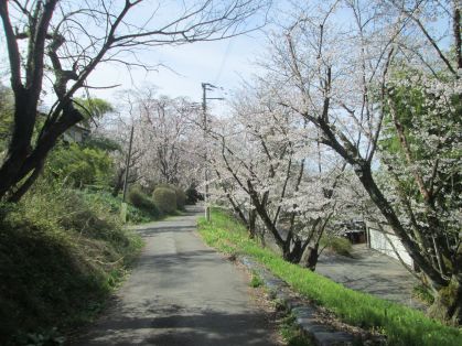 道