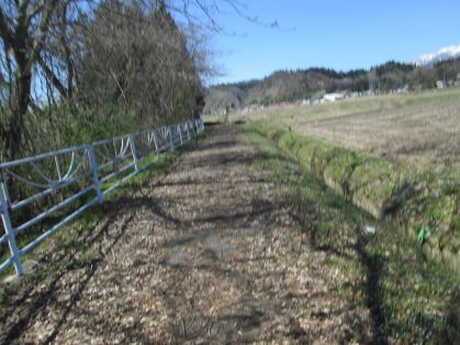 道