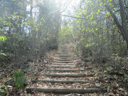 階段