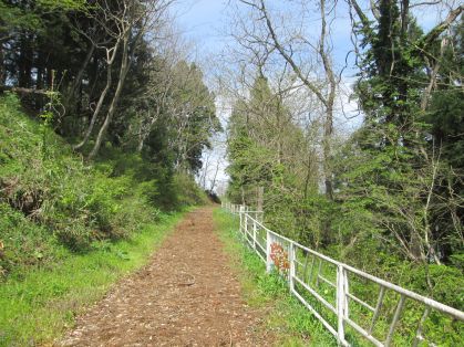 散策路