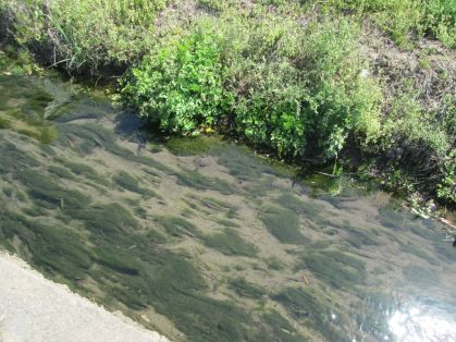 小川