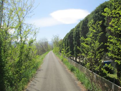 細道