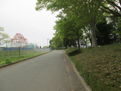 山形市総合スポーツセンター