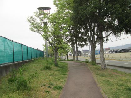 道