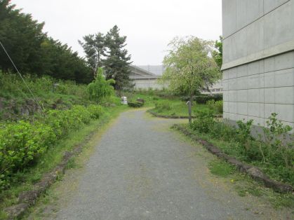 奥へと続く道