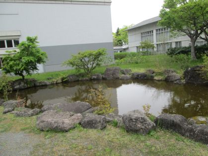池