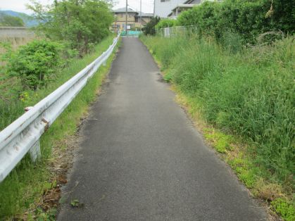 小径