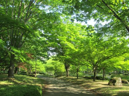 総合運動公園