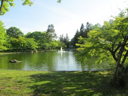 樹氷の池