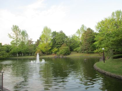 樹氷の池