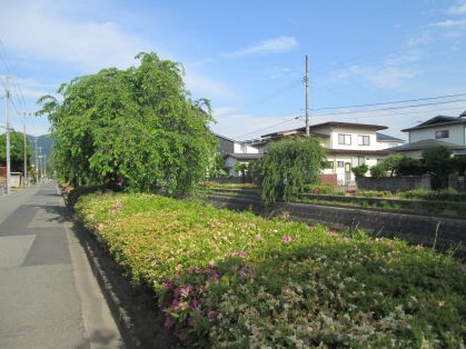 川沿い