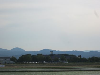 ゆぴあ