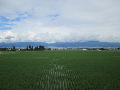 田園