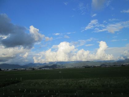 田園と空