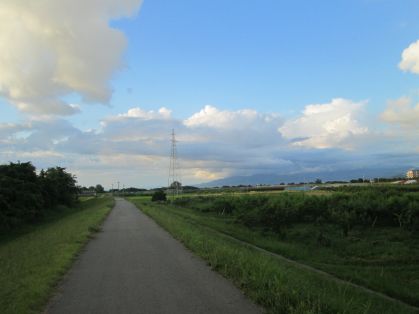 道